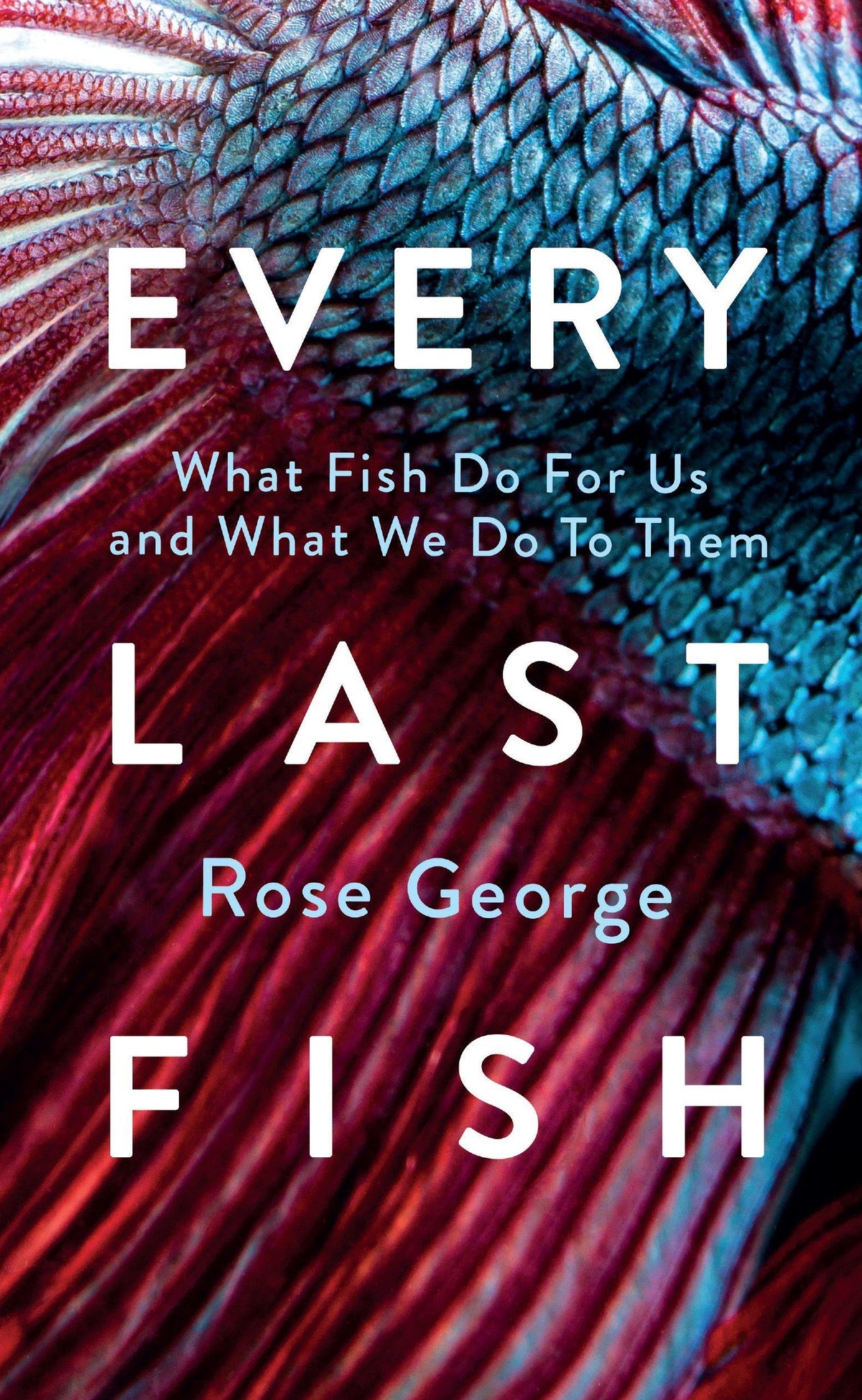 Buchcover: Every Last Fish