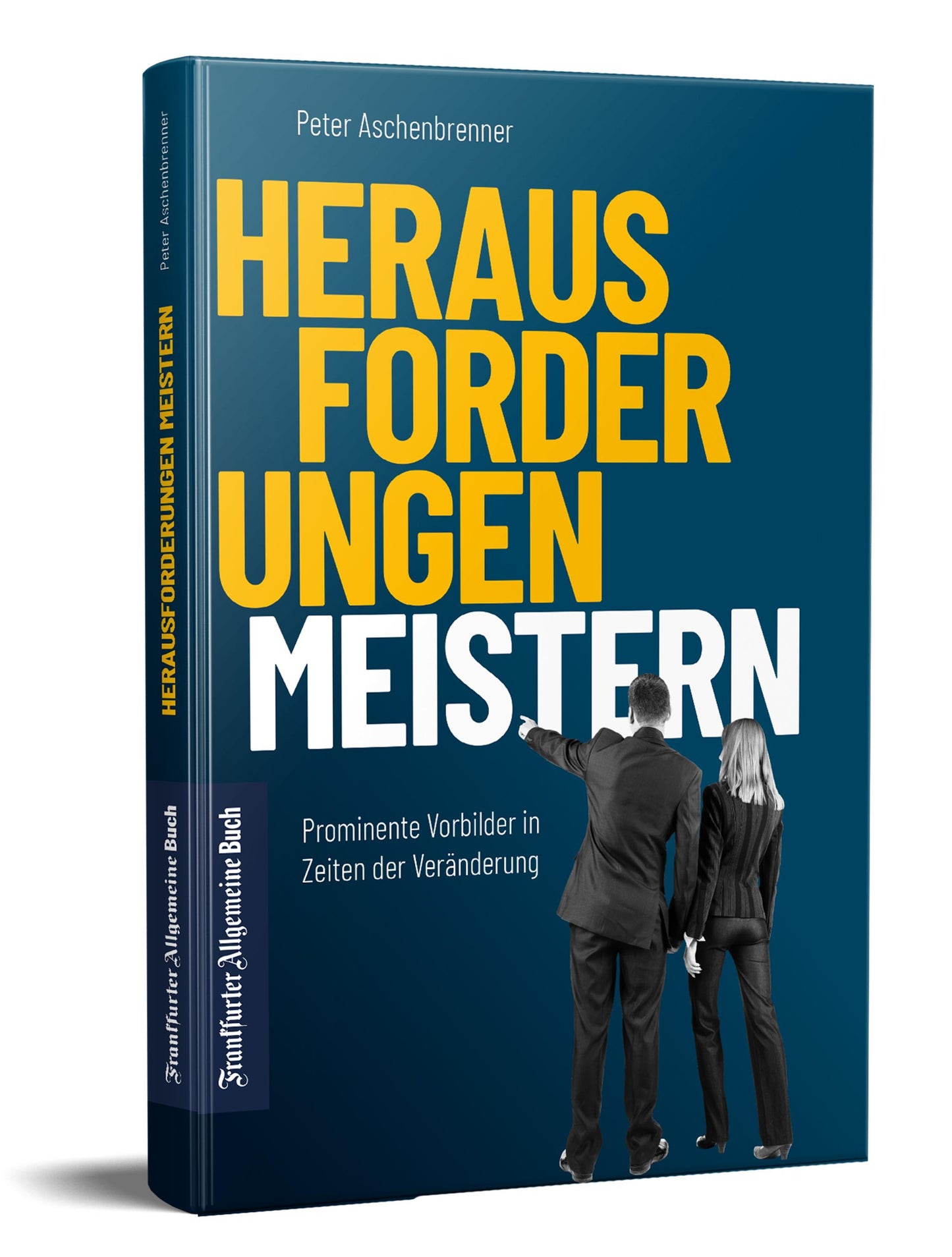 Buchcover: Herausforderungen meistern