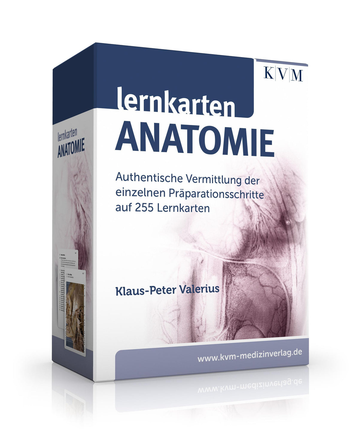 Buchcover: Lernkarten Anatomie