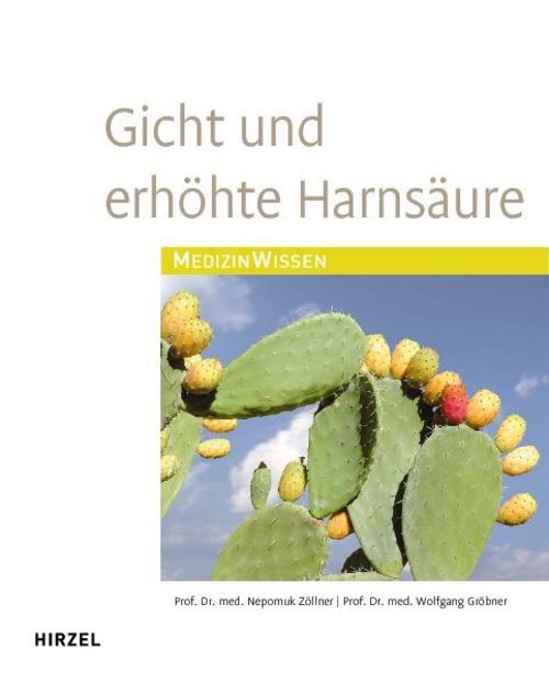 Buchcover: Gicht und erhöhte Harnsäure