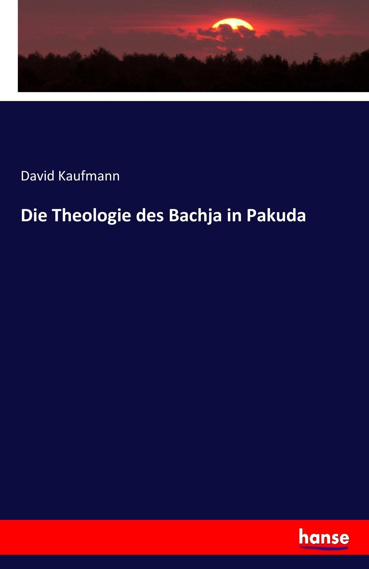 Die Theologie des Bachja in Pakuda