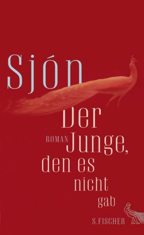 Der Junge, den es nicht gab