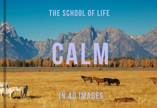 Buchcover: Calm in 40 Images
