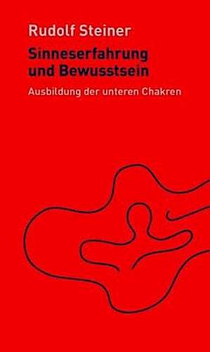 Buchcover: Sinneserfahrung und Bewusstsein
