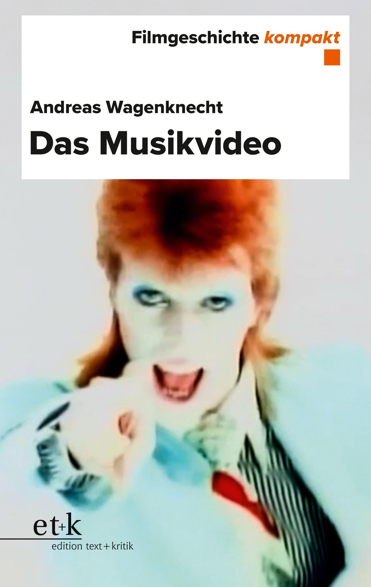Buchcover: Das Musikvideo