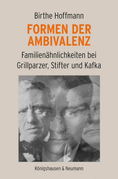 Formen der Ambivalenz
