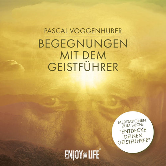 Begegnungen mit dem Geistführer,Audio-CD