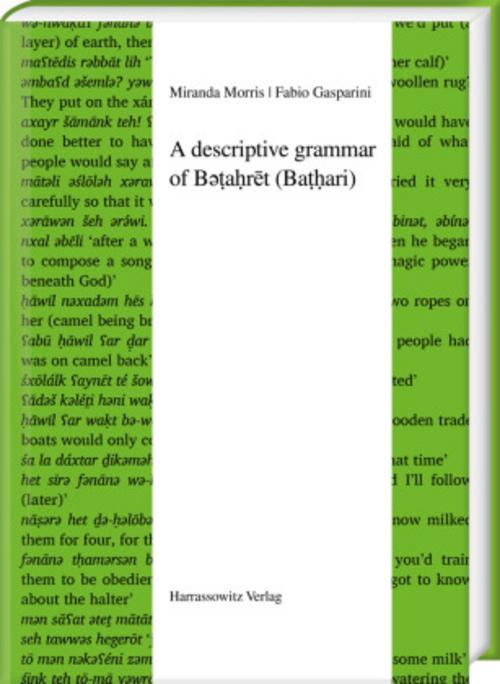 A descriptive grammar of B¿¿a¿r¿t (Ba¿¿ari)