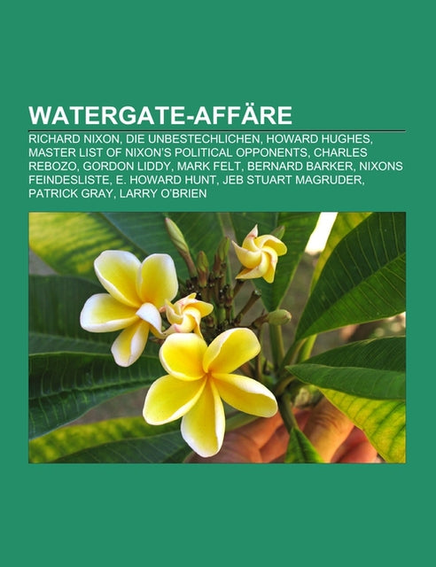 Watergate-Affäre