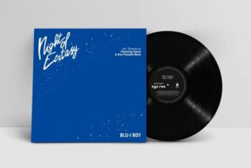 Night Of Ecstasy,1 Schallplatte (Maxi Vinyl)