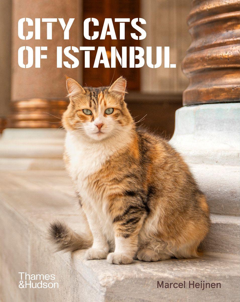 Buchcover: City Cats of Istanbul