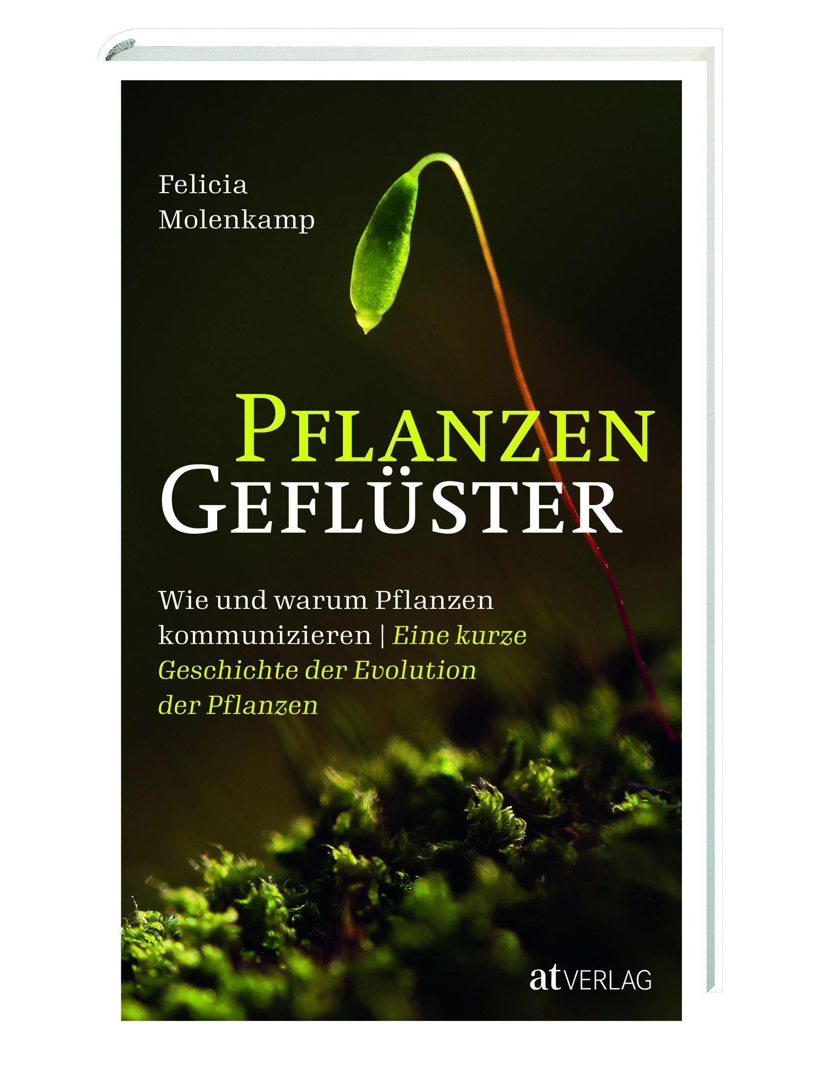Buchcover: Molenkamp, Felicia/Pflanzengeflüster