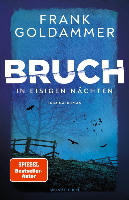 Goldammer, Frank/Bruch: In eisigen Nächten