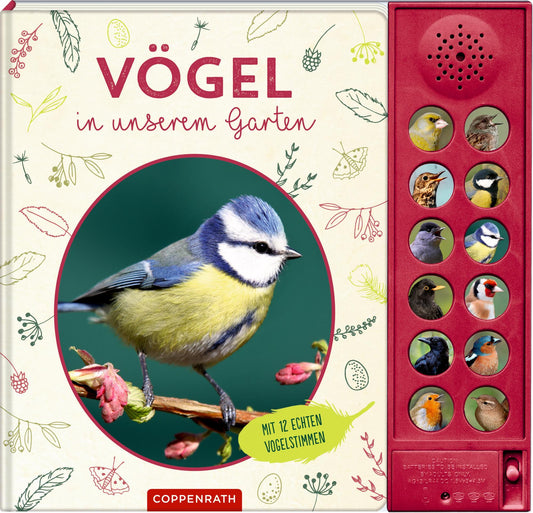 Haag, Holger/Vögel in unserem Garten