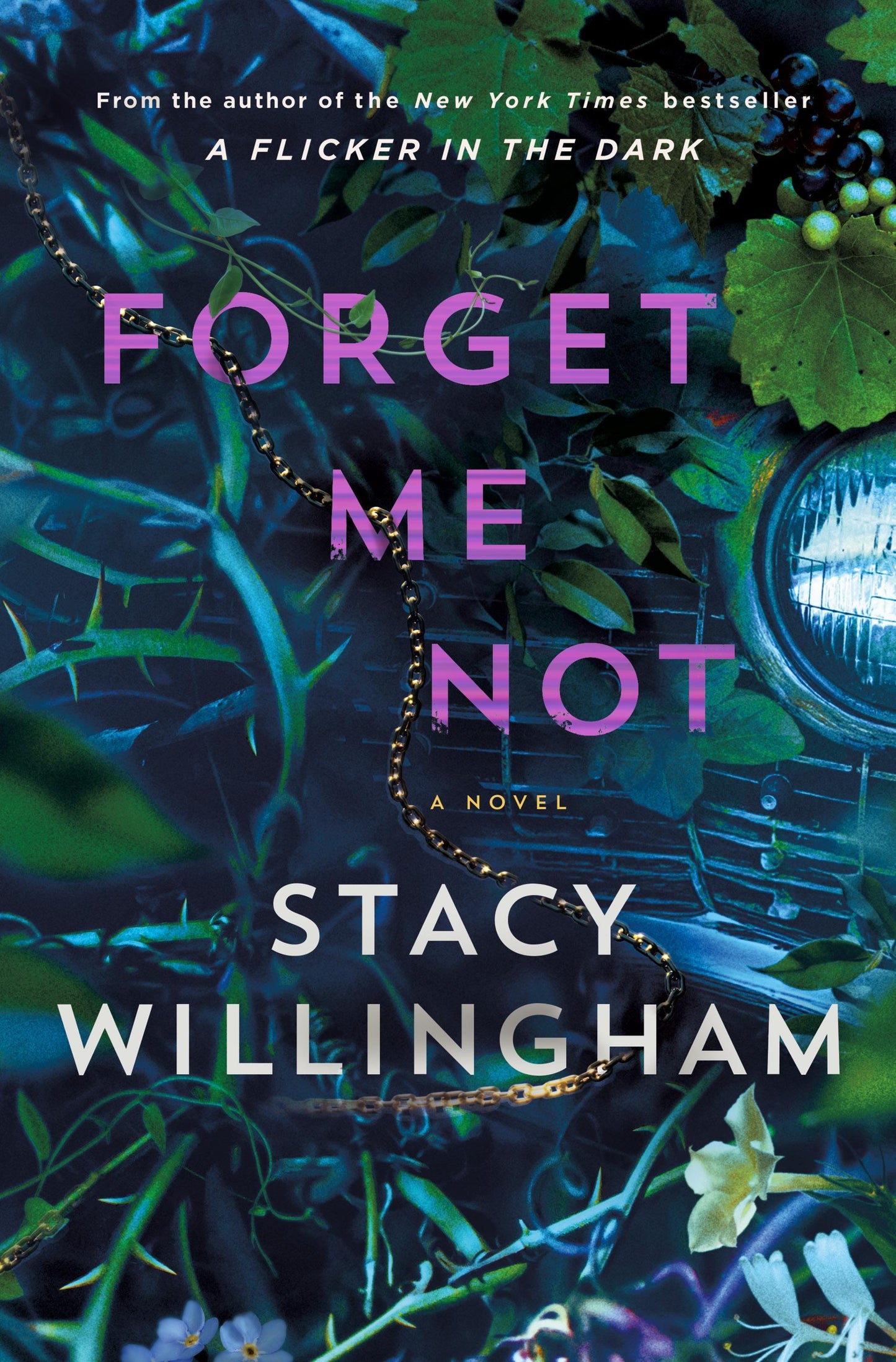 Forget Me Not