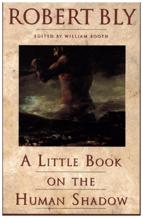 Buchcover: A Little Book on the Human Shadow