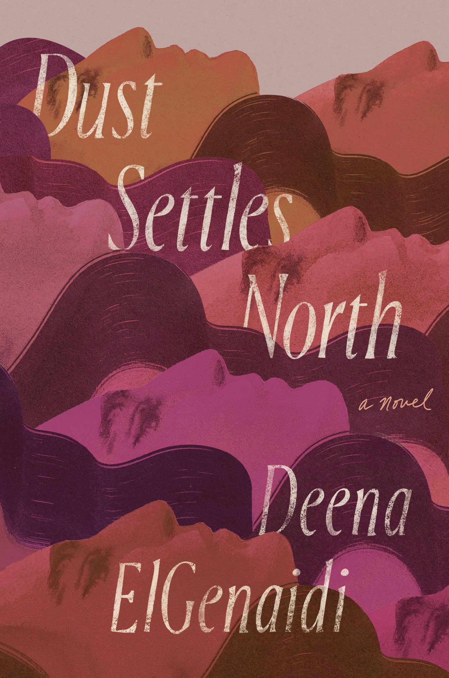 Dust Settles North