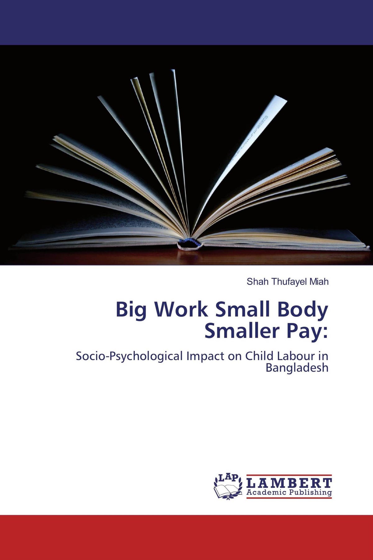 Buchcover: Big Work Small Body Smaller Pay: