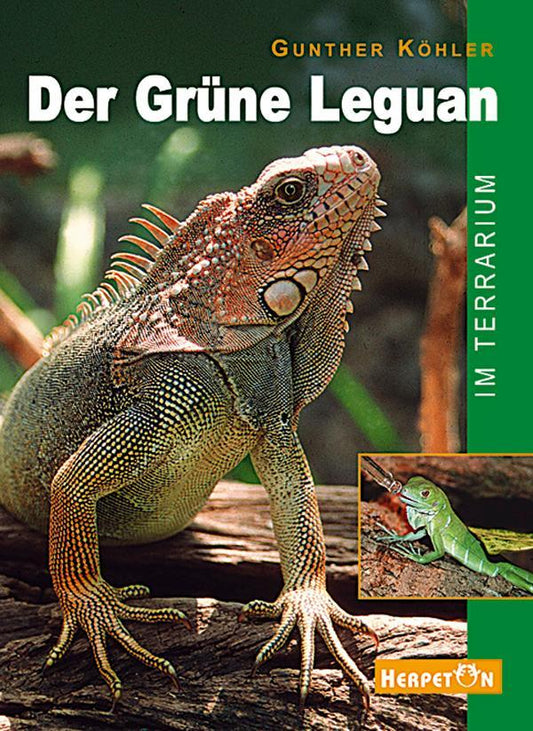 Buchcover: Der Grüne Leguan im Terrarium
