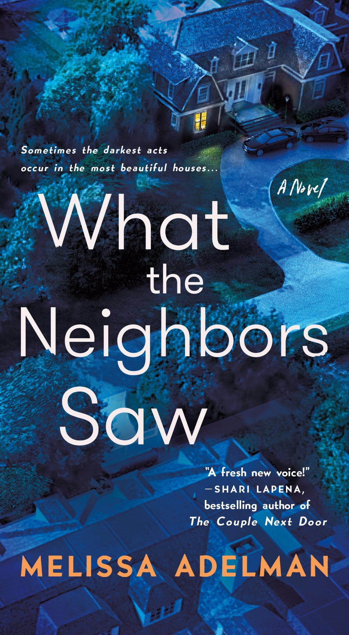 Buchcover: What the Neighbors Saw