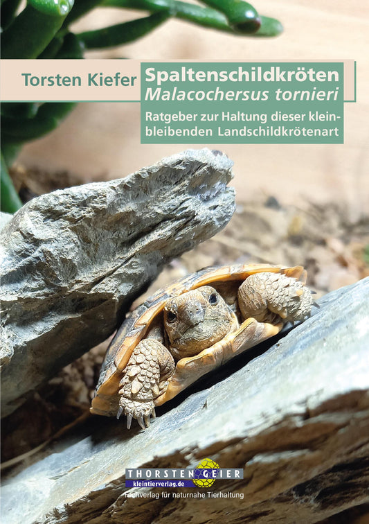 Buchcover: Spaltenschildkröten Malacochersus tornieri