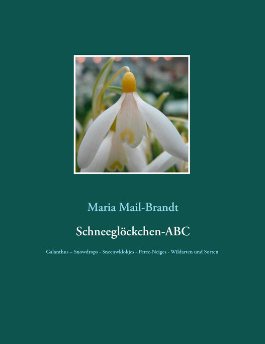 Buchcover: Schneeglöckchen-ABC