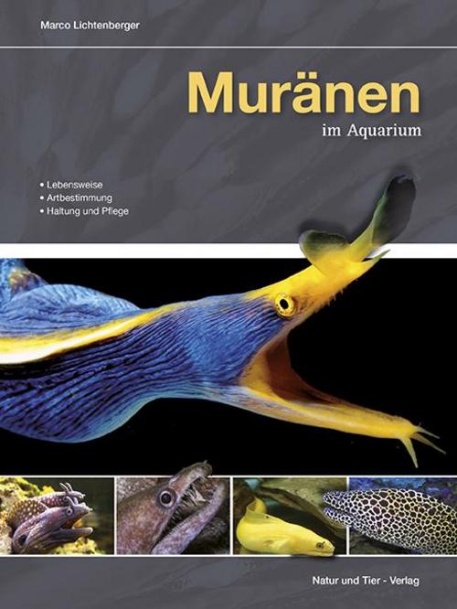 Buchcover: Muränen im Aquarium