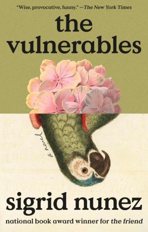 Buchcover: The Vulnerables