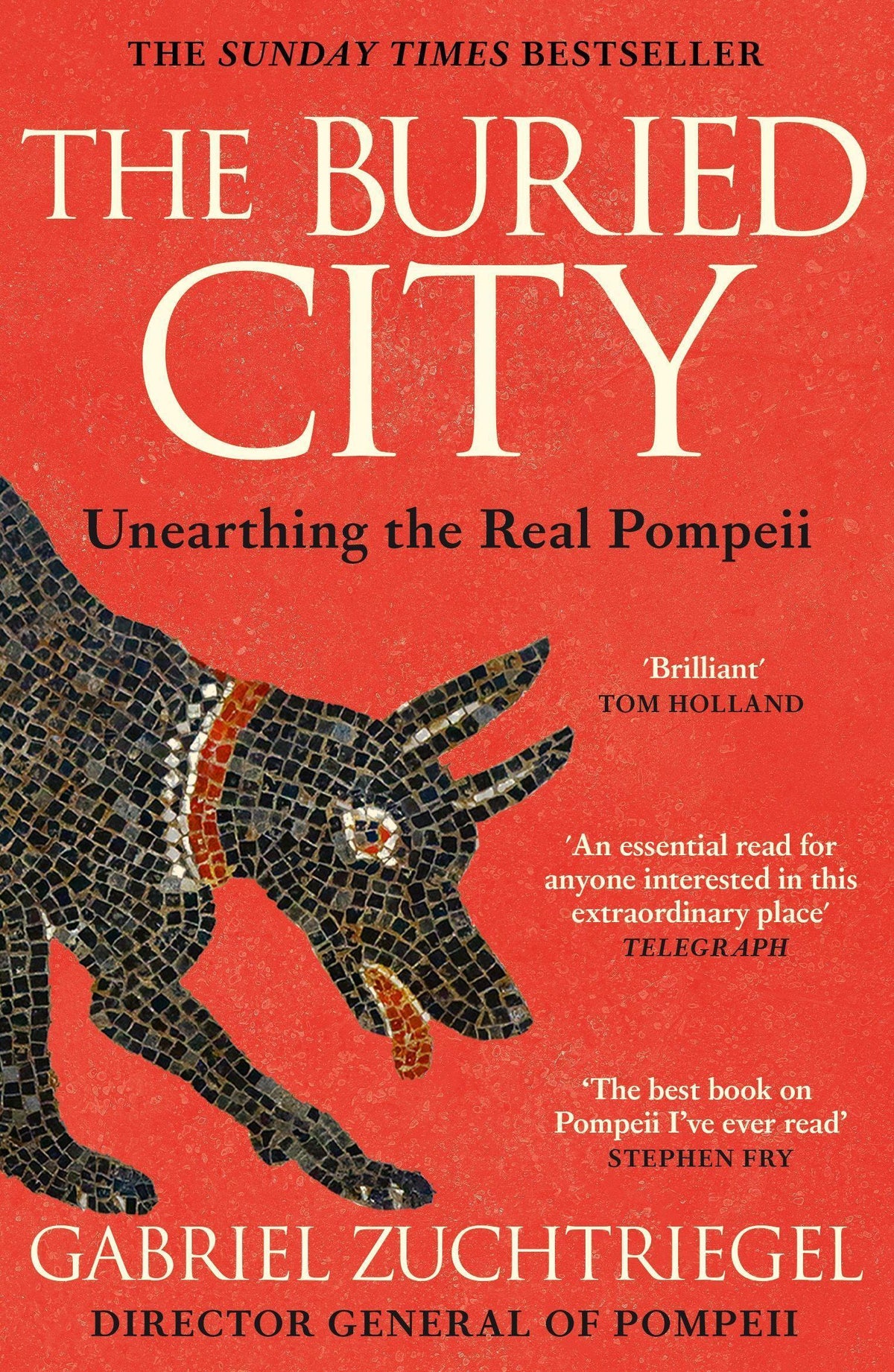 Buchcover: The Buried City