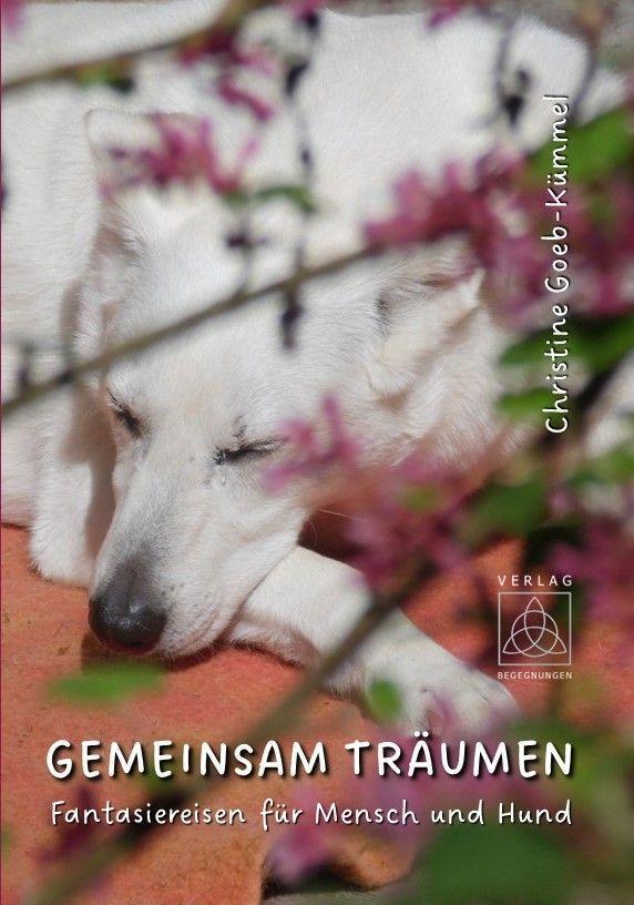 Buchcover: Gemeinsam träumen