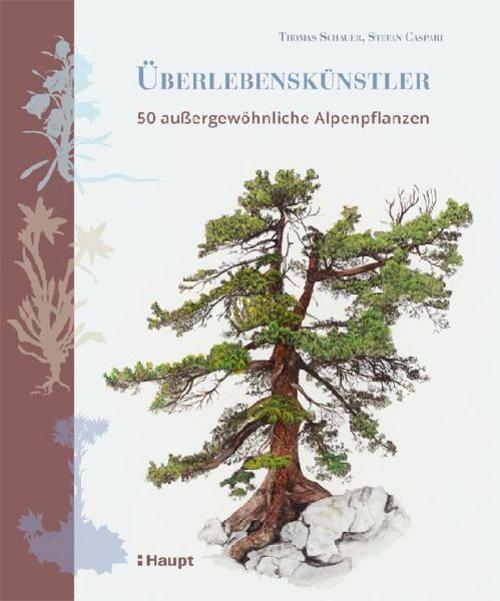 Buchcover: Überlebenskünstler