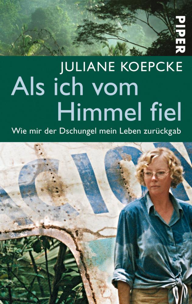 Buchcover: Als ich vom Himmel fiel