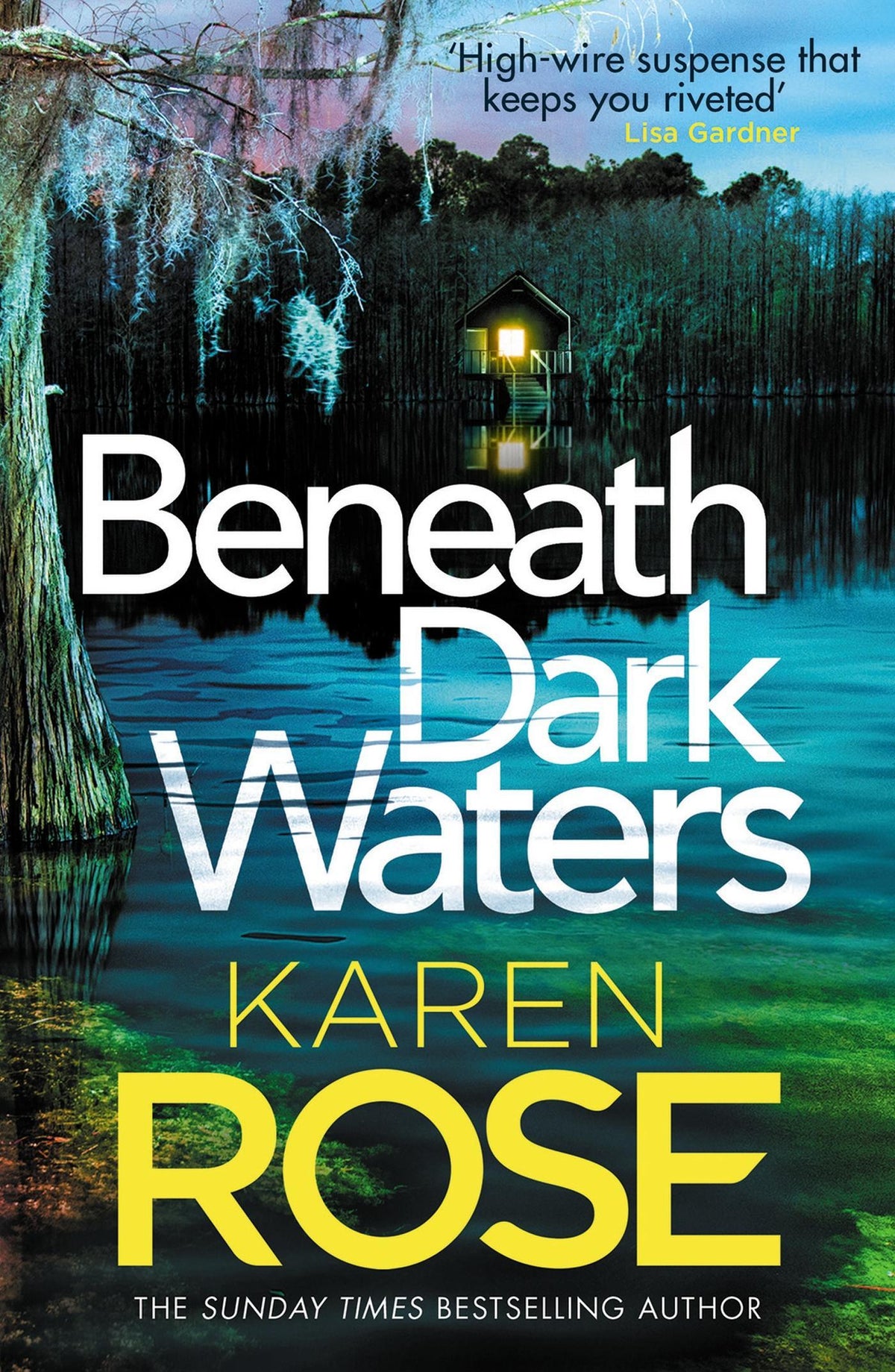 Buchcover: Beneath Dark Waters