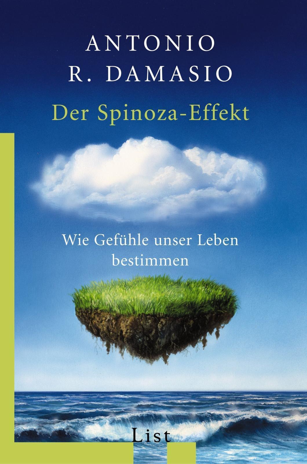 Buchcover: Der Spinoza-Effekt