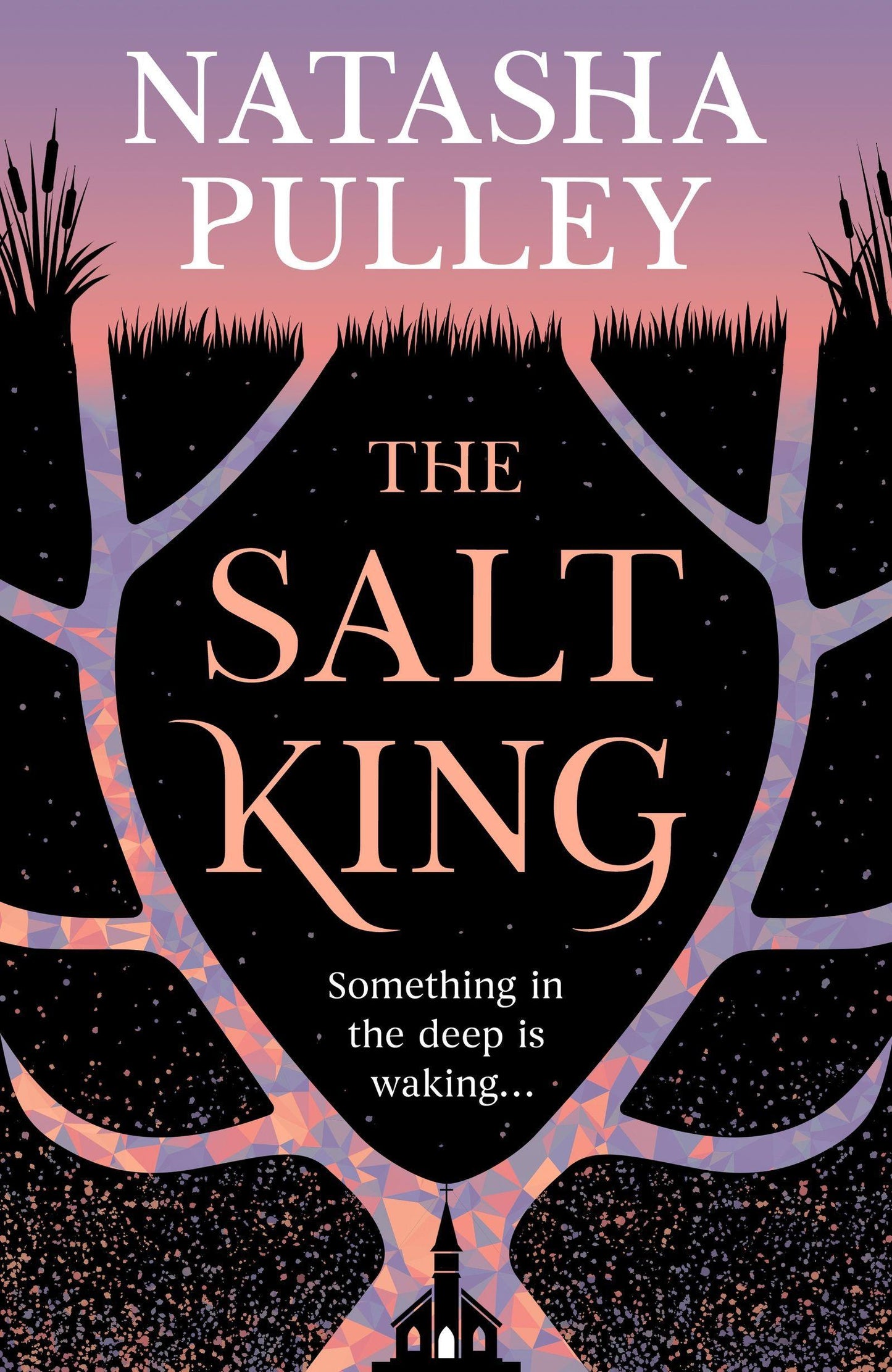 The Salt King