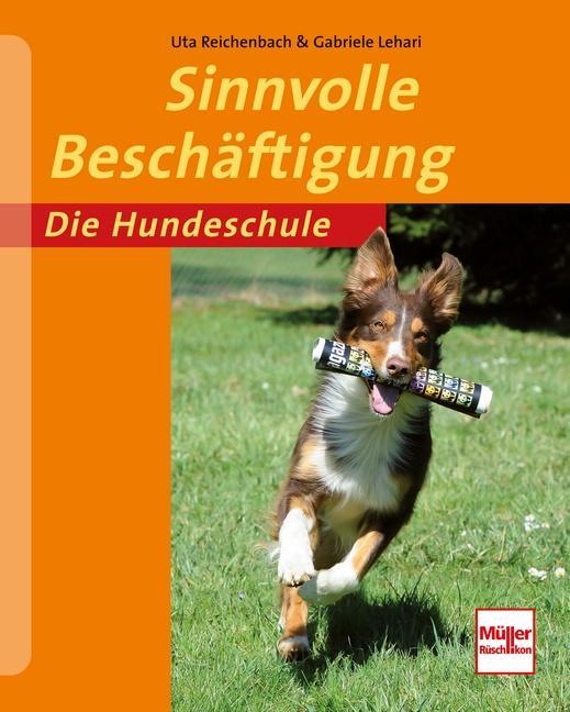 Buchcover: Sinnvolle Beschäftigung