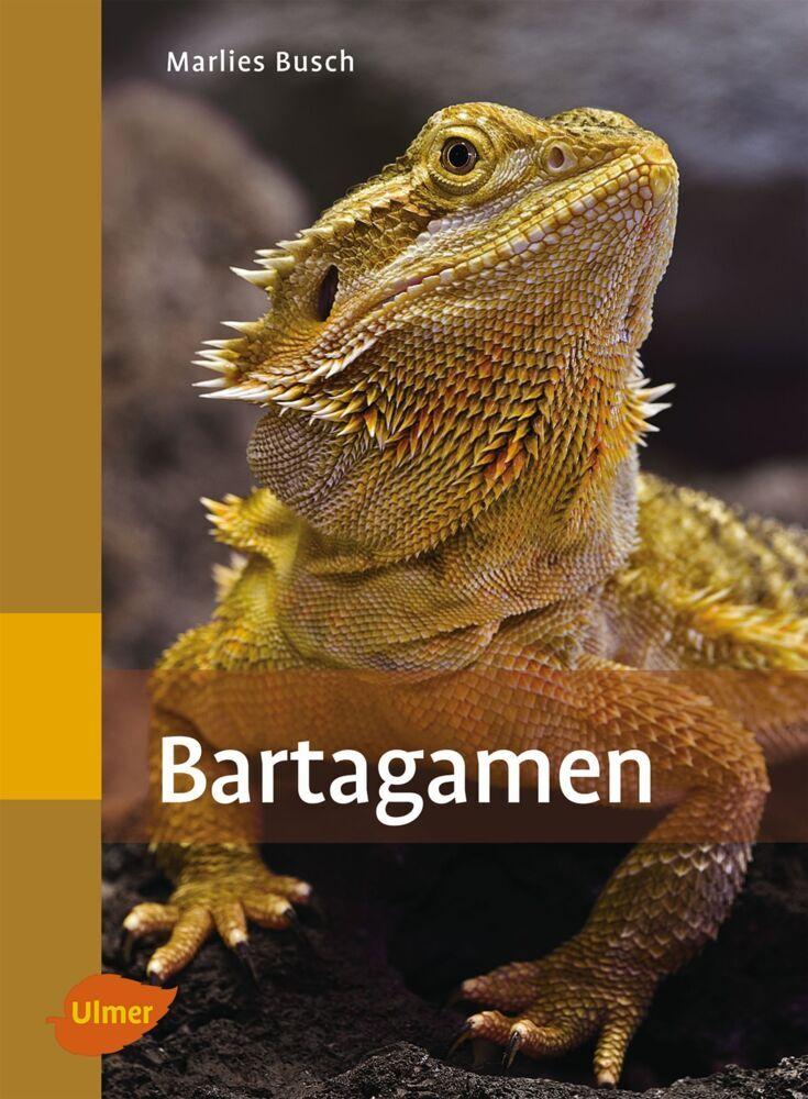 Buchcover: Bartagamen