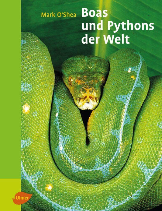 Boas und Pythons der Welt
