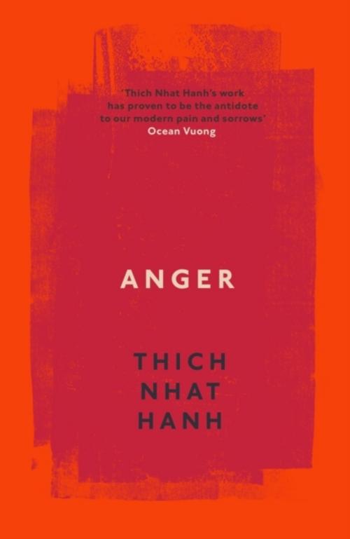 Buchcover: Anger
