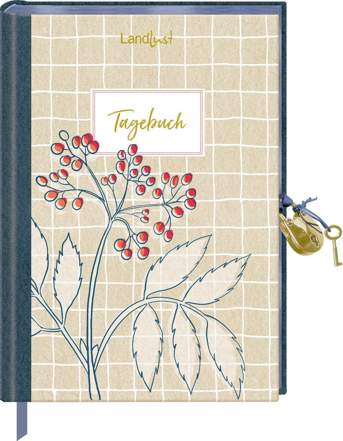 Buchcover: Tagebuch mit Schloss