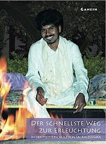 Buchcover: Der schnellste Weg zur Erleuchtung