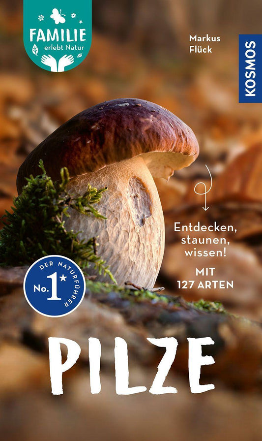 Buchcover: Flück, Markus/Pilze