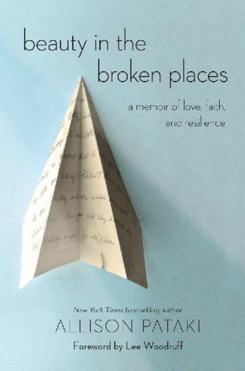Buchcover: Beauty in the Broken Places