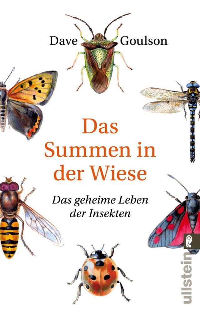 Buchcover: Das Summen in der Wiese