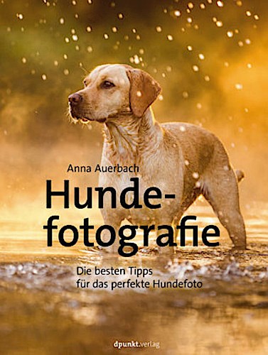 Hundefotografie