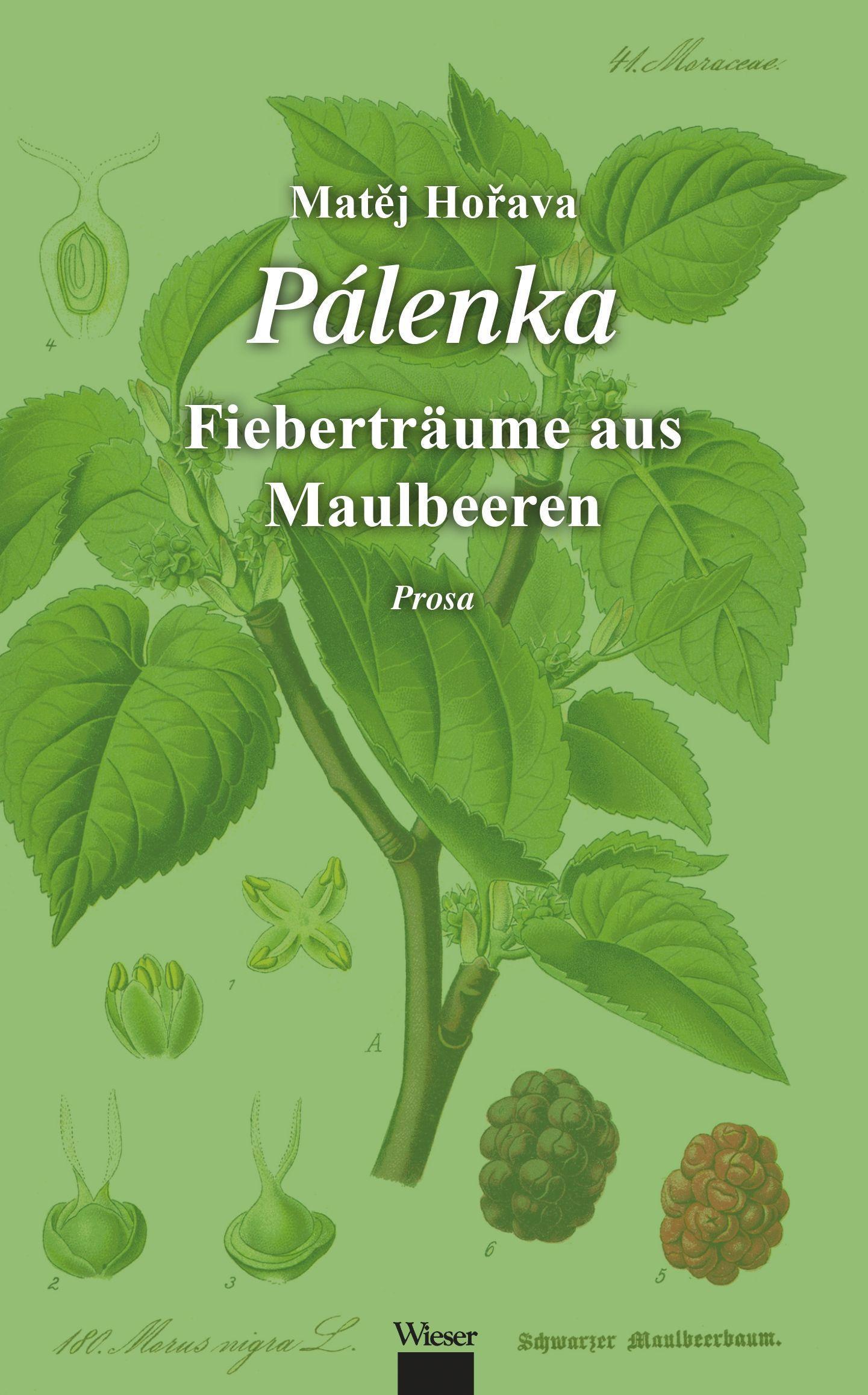 Pálenka