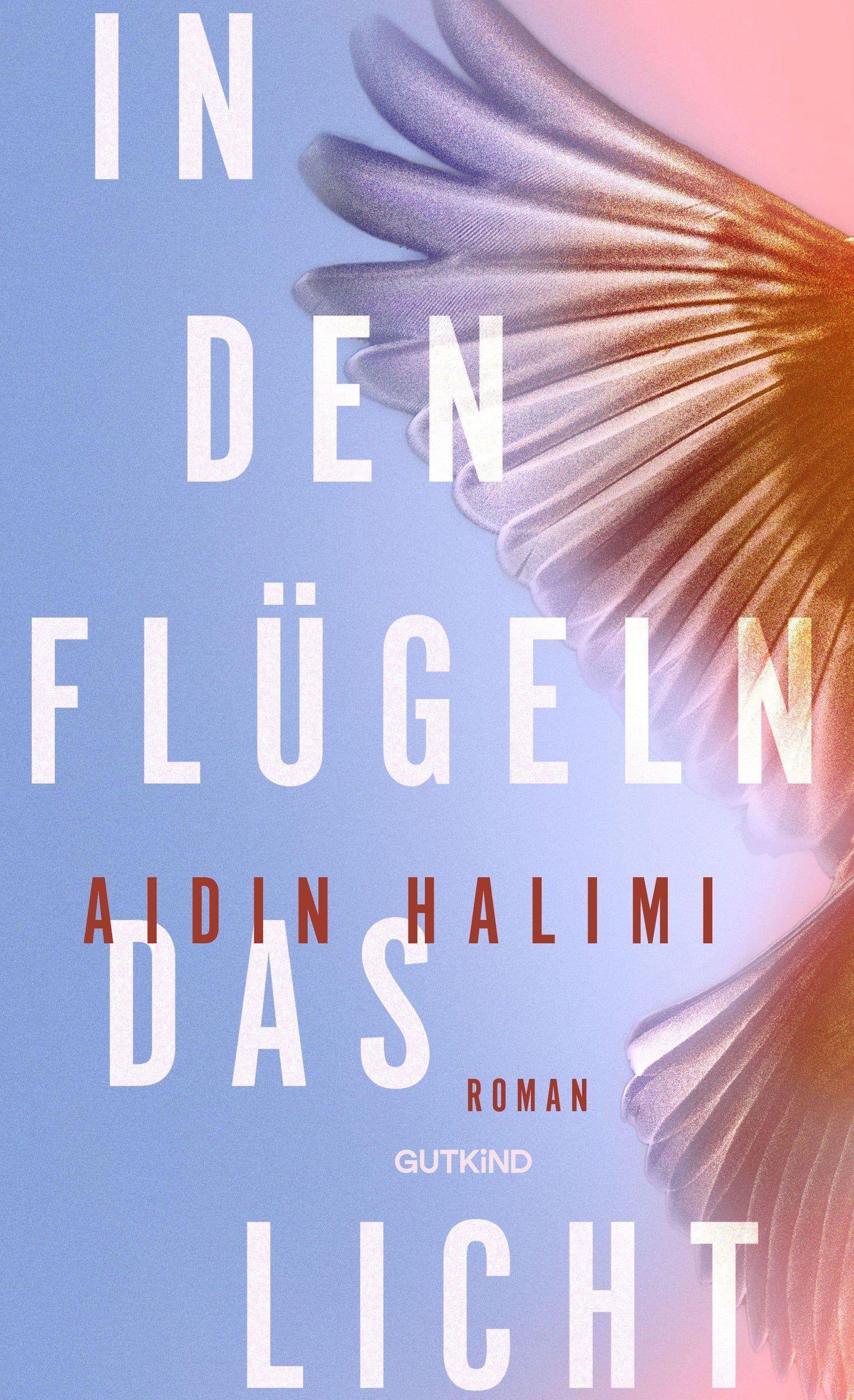 In den Flügeln das Licht
