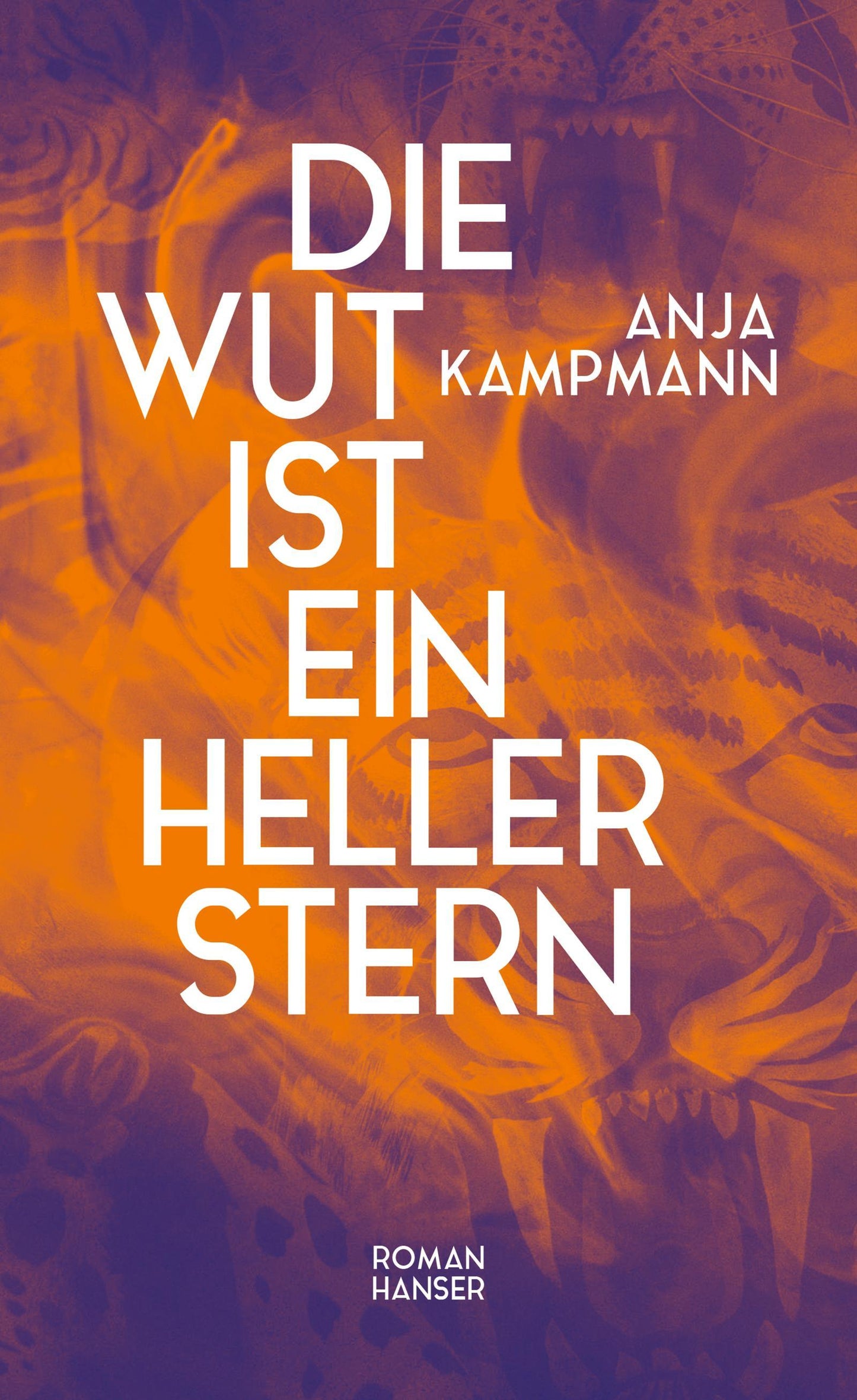 Die Wut ist ein heller Stern