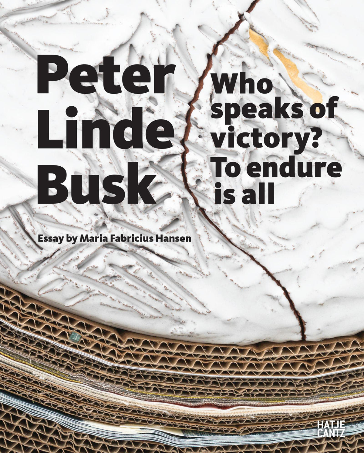 Buchcover: Peter Linde Busk