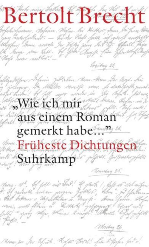 'Wie ich mir aus einem Roman gemerkt habe ...'